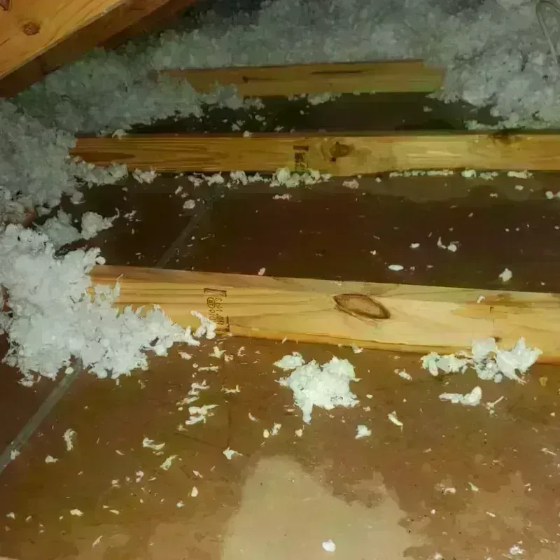 Attic Water Damage in Orosi, CA