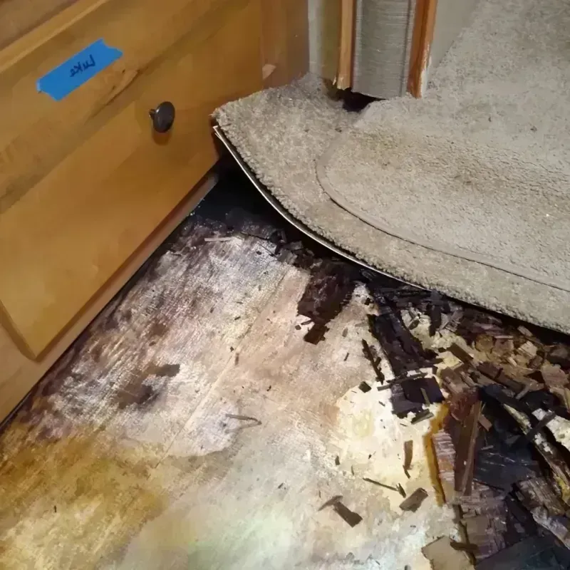 Wood Floor Water Damage in Orosi, CA